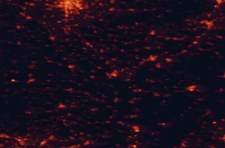 Satellite night-light map of the 50 km around Břeclav, with Hodonín, Skalica and Senica marked