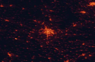Satellite night-light map of the 50 km around Brno, with Líšeň, Bystrc and Olomouc marked