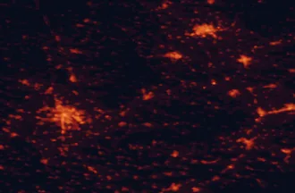 Satellite night-light map of the 50 km around Vyškov, with Brno, Brno střed and Olomouc marked