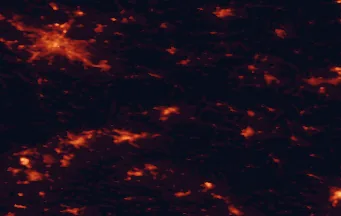 Satellite night-light map of the 50 km around Děčín, with Dresden, Ústí nad Labem and Teplice marked