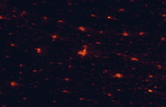 Satellite night-light map of the 50 km around Jihlava, with Třebíč, Havlíčkův Brod and Žďár nad Sázavou marked