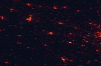 Satellite night-light map of the 50 km around Třebíč, with Jihlava, Znojmo and Bystrc marked