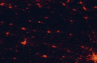 Satellite night-light map of the 50 km around Žďár nad Sázavou, with Jihlava, Třebíč and Havlíčkův Brod marked