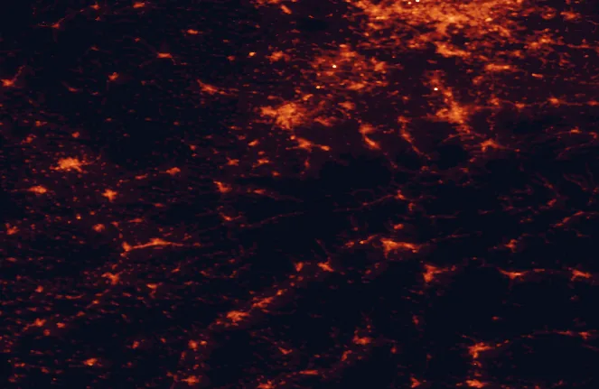 Satellite night-light map of the 100 km around Beskydy Protected Landscape Area, with Ostrava, Katowice and Bielsko-Biala marked