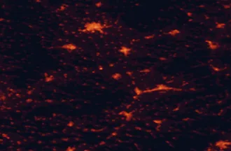 Satellite night-light map of the 50 km around Kroměříž, with Zlín, Olomouc and Přerov marked