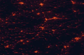 Satellite night-light map of the 50 km around Uherské Hradiště, with Zlín, Trenčín and Kroměříž marked