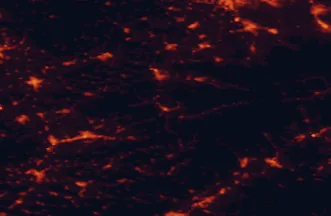 Satellite night-light map of the 50 km around Vsetín, with Zlín, Frýdek-Místek and Valašské Meziříčí marked