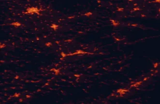 Satellite night-light map of the 50 km around Zlín, with Olomouc, Trenčín and Přerov marked