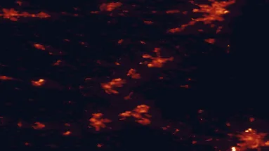 Satellite night-light map of the 50 km around Hedensted, with Århus, Vejle and Odense marked