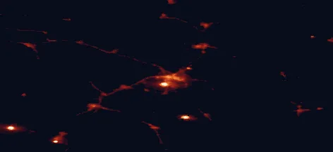 Satellite night-light map of the 50 km around Seinäjoki, with Kurikka, Ilmajoki and Lapua marked