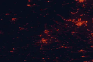 Satellite night-light map of the 50 km around Belfort, with Mulhouse, Montbéliard and Audincourt marked