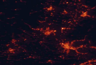 Satellite night-light map of the 50 km around Mulhouse, with Basel, Freiburg and Colmar marked