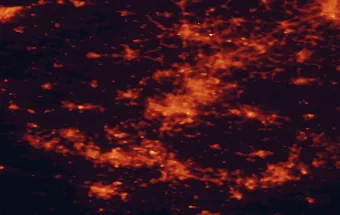 Satellite night-light map of the 50 km around Lille, with Roubaix, Tourcoing and Gent marked