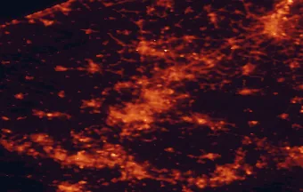 Satellite night-light map of the 50 km around Tourcoing, with Lille, Gent and Kortrijk marked