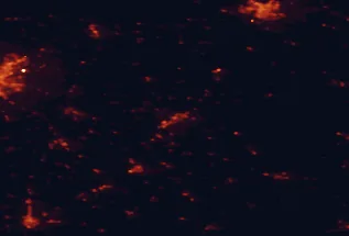 Satellite night-light map of the 50 km around Cholet, with Angers, La Roche-sur-Yon and Saint-Sébastien-sur-Loire marked