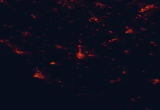 Satellite night-light map of the 50 km around La Roche-sur-Yon, with Cholet, Challans and Les Sables-d'Olonne marked