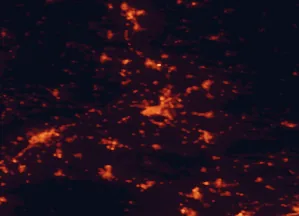 Satellite night-light map of the 50 km around Avignon, with Nîmes, Arles and Le Pontet marked