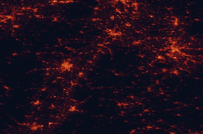 Satellite night-light map of the 100 km around Black Forest National Park, with Stuttgart, Strasbourg and Karlsruhe marked