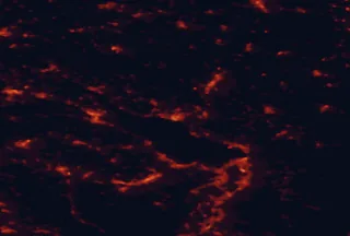 Satellite night-light map of the 50 km around Friedrichshafen, with Konstanz, Sankt Gallen and Ravensburg marked