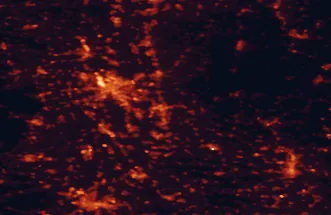 Satellite night-light map of the 50 km around Heidelberg, with Mannheim, Ludwigshafen am Rhein and Karlsruhe marked