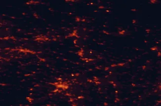 Satellite night-light map of the 50 km around Heidenheim an der Brenz, with Ulm, Aalen and Schwäbisch Gmünd marked