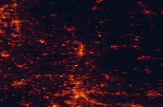 Satellite night-light map of the 50 km around Heilbronn, with Stuttgart, Heidelberg and Ludwigsburg marked