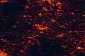 Satellite night-light map of the 50 km around Karlsruhe, with Pforzheim, Heidelberg and Ettlingen marked