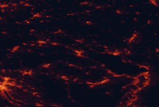 Satellite night-light map of the 50 km around Konstanz, with Zürich, Winterthur and Sankt Gallen marked
