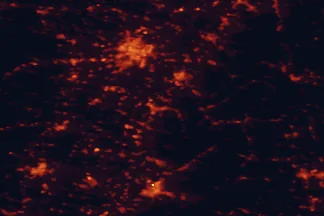 Satellite night-light map of the 50 km around Lahr, with Strasbourg, Freiburg and Offenburg marked