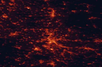 Satellite night-light map of the 50 km around Ludwigsburg, with Stuttgart, Heilbronn and Esslingen marked