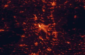 Satellite night-light map of the 50 km around Mannheim, with Heidelberg, Darmstadt and Worms marked