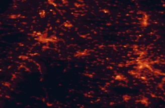 Satellite night-light map of the 50 km around Pforzheim, with Stuttgart, Karlsruhe and Heilbronn marked