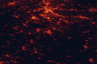 Satellite night-light map of the 50 km around Reutlingen, with Stuttgart, Tübingen and Esslingen marked