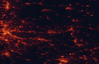 Satellite night-light map of the 50 km around Schwäbisch Gmünd, with Stuttgart, Göppingen and Ulm marked