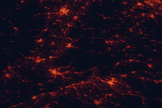 Satellite night-light map of the 100 km around Southern Black Forest Nature Park, with Freiburg, Zürich and Strasbourg marked