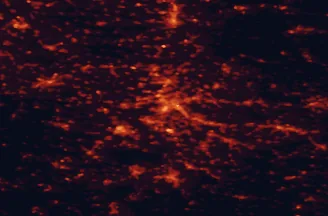 Satellite night-light map of the 50 km around Stuttgart, with Esslingen, Ludwigsburg and Reutlingen marked