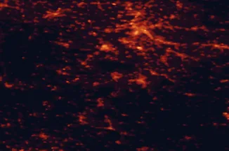 Satellite night-light map of the 50 km around Tübingen, with Stuttgart, Reutlingen and Esslingen marked