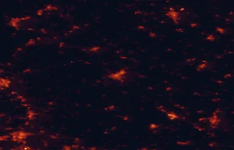 Satellite night-light map of the 50 km around Bayreuth, with Erlangen, Kulmbach and Hof marked