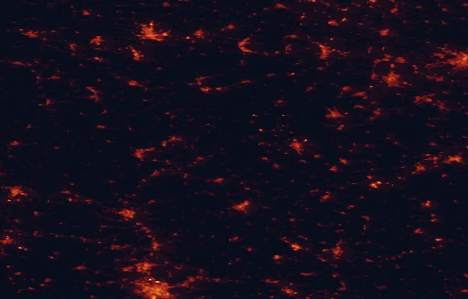 Satellite night-light map of the 100 km around Franconian Forest Nature Park, with Nuremberg, Erfurt and Bayreuth marked