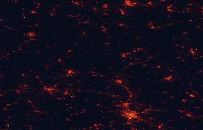 Satellite night-light map of the 100 km around Haßberge Nature Park, with Nuremberg, Erfurt and Würzburg marked