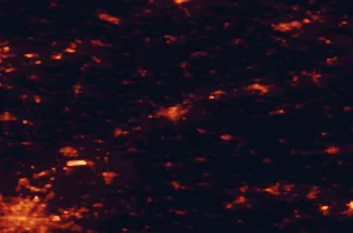 Satellite night-light map of the 50 km around Landshut, with Munich, Freising and Erding marked