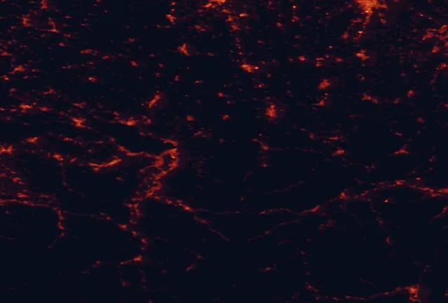 Satellite night-light map of the 100 km around Nagelfluhkette Nature Park, with Kempten (Allgäu), Dornbirn and Sankt Gallen marked