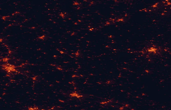 Satellite night-light map of the 100 km around Northern Upper Palatine Forest Nature Park, with Nuremberg, Pilsen and Regensburg marked