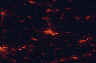 Satellite night-light map of the 50 km around Regensburg, with Straubing, Neutraubling and Regenstauf marked