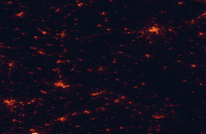 Satellite night-light map of the 100 km around Upper Bavarian Forest Nature Park, with Regensburg, Pilsen and Ingolstadt marked