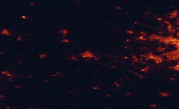 Satellite night-light map of the 50 km around Brandenburg an der Havel, with Potsdam, Rathenow and Falkensee marked