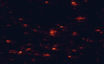 Satellite night-light map of the 50 km around Cottbus, with Forst, Hoyerswerda and Kolkwitz marked