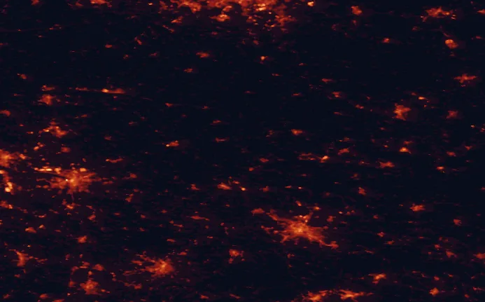 Satellite night-light map of the 100 km around Lower Lusatian Heath Nature Park, with Dresden, Leipzig and Chemnitz marked