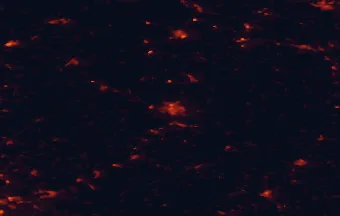 Satellite night-light map of the 50 km around Fulda, with Bad Hersfeld, Eichenzell and Hünfeld marked