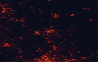 Satellite night-light map of the 50 km around Gießen, with Wetzlar, Marburg an der Lahn and Siegen marked